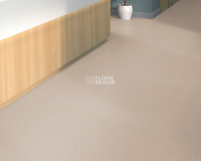 Tarkett iq Melodia 2613 фото 2 | FLOORDEALER
